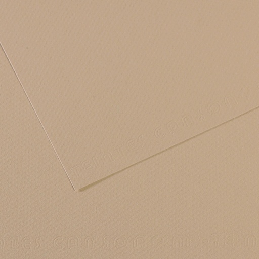 [D92883] Foglio MI-TEINTES A4 cm 160 gr. 343 grigio trianon