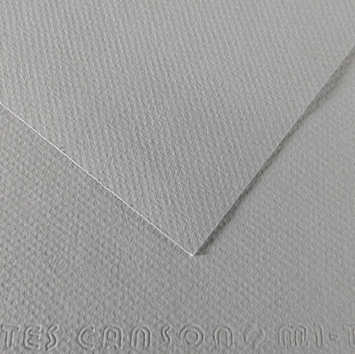 [D92884] Foglio MI-TEINTES A4 cm 160 gr. 122 grigio flanella