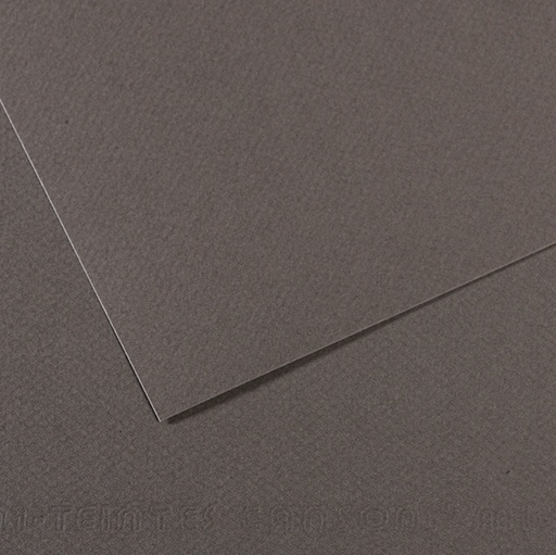 [D92886] Foglio MI-TEINTES A4 cm 160 gr. 345 grigio ardesia