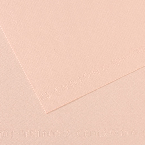 [D92891] Foglio MI-TEINTES A4 cm 160 gr. 103 aurora