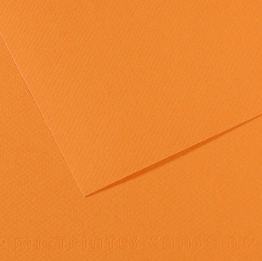 [D92894] Foglio MI-TEINTES A4 cm 160 gr. 384 salmone