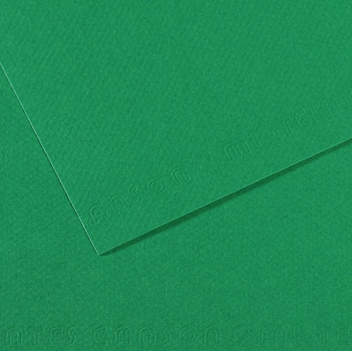 [D92897] Foglio MI-TEINTES A4 cm 160 gr. 575 verde biliardo