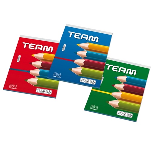 [D94350] BLOCCO NOTE 21x29,7MM A4 5MM 50GR 50FG TEAM BLASETTI