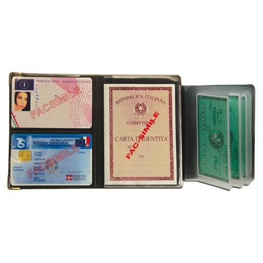 [D94723] Display 24 Portadocumenti Multicard special colori assortiti 1060S Alplast