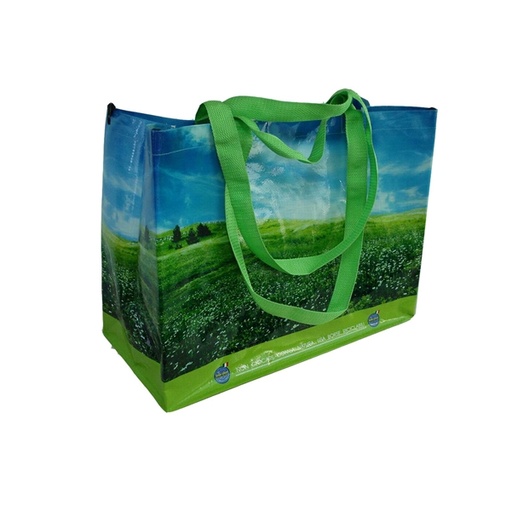 [D95304] Borsa ripiegabile per la spesa in PP con ganci 38x43x20cm