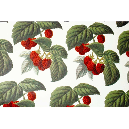 [TPC04851] CARTA DECOUPAGE CM.50X70 - BUSTA 10 FG. - LAMPONI