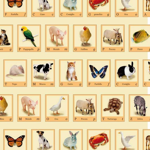 [TPC04867] CARTA DECOUPAGE CM.50X70 - BUSTA 10 FG. - ABC