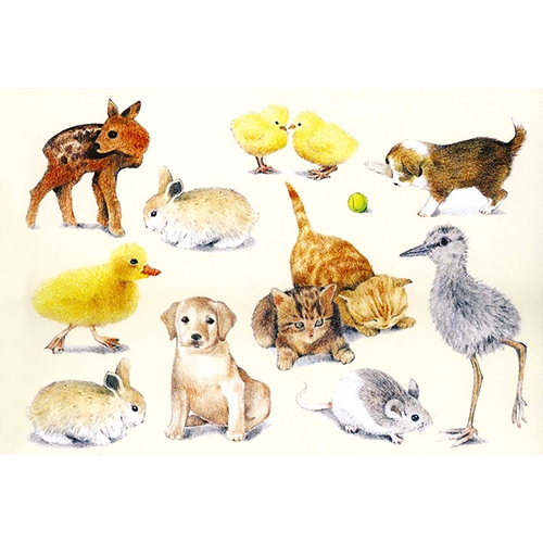 [TPC05563] CARTA DECOUPAGE 3D CM.10X15 - CONF. 4 FG. - ANIMALI