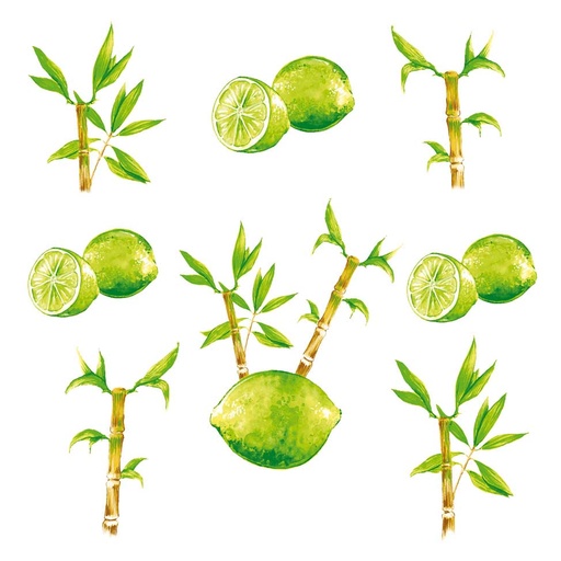 [TPC05716] TOVAGLIOLI DISPENSER 50 PZ. - LIMONI