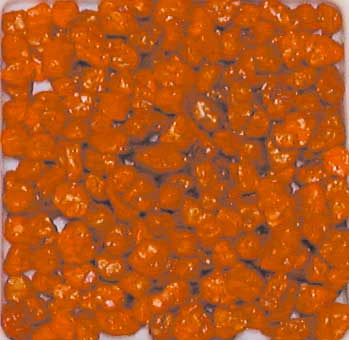 [TPC05847] QUARZO - BARATTOLO ML.150 - ARANCIO