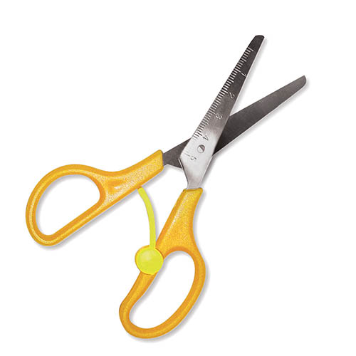 [TPC12072] FORBICI INOX CM.13,5 CON RIENTRO AUTOMATICO IN BLISTER