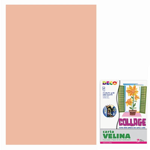 [TPC12089] VELINA CM.50X76 - BUSTA 24 FG. - ROSA CARNE