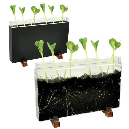 [TPC12892] ESPLORA IL SOTTOSUOLO - CONTENITORE CM. 30X19X4