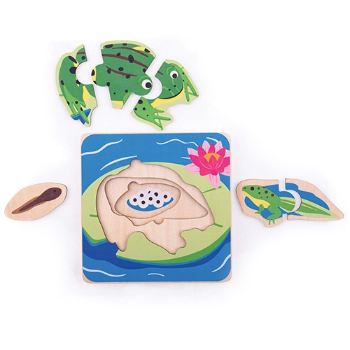 [TPC33031] PUZZLE A STRATI CICLO VITALE - RANA