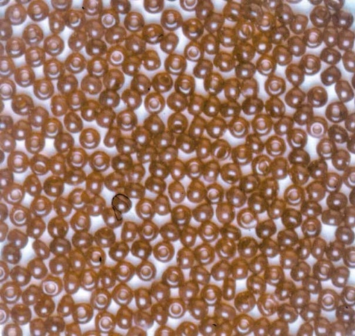 [TPC927-03] PERLINE VETRO TRASPARENTI 10/0 - SCAT. GR.30 - MARRONE SCURO (min.ord.6 o multipli)