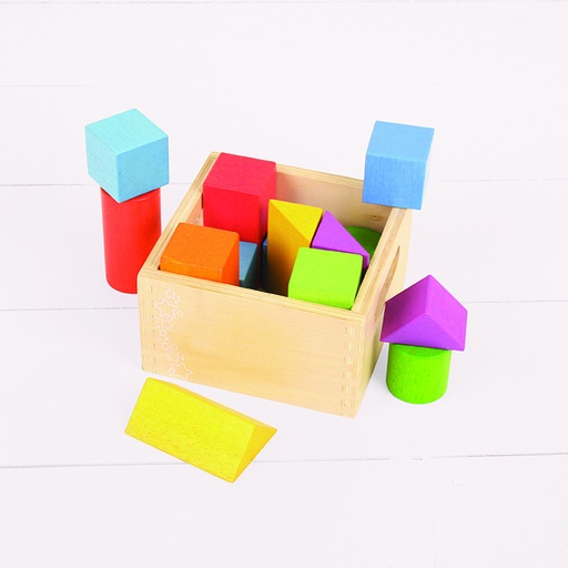 [TPCBB095] COSTRUZIONI IN LEGNO - PRIMI BLOCCHI