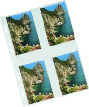 [100196] Busta Porta Foto 4 Tasche 20x13 cm