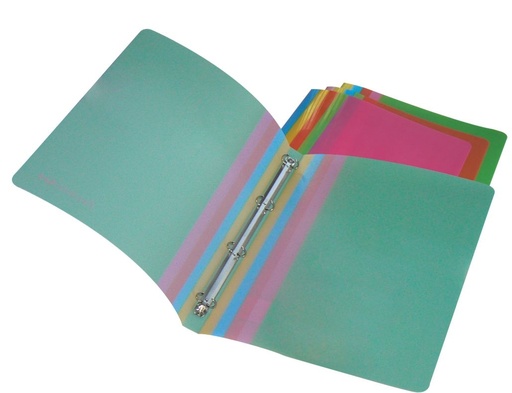 [110482] Raccoglitore a 4 Anelli Favorit Art Colors Collect D15 VP