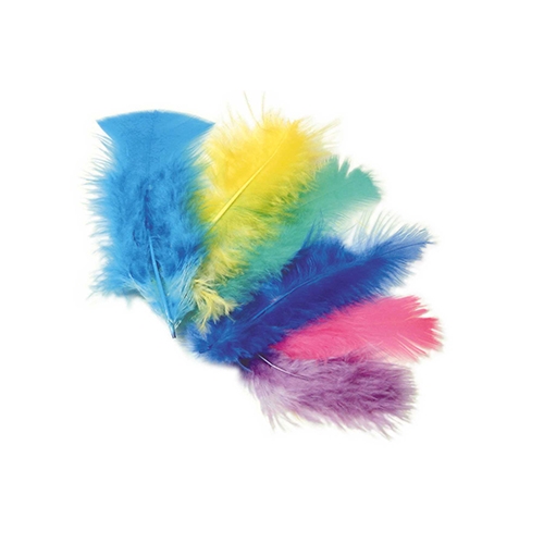 [TPC05756] PIUME COLORATE - BUSTA GR.10 (min.ord.5 o multipli)