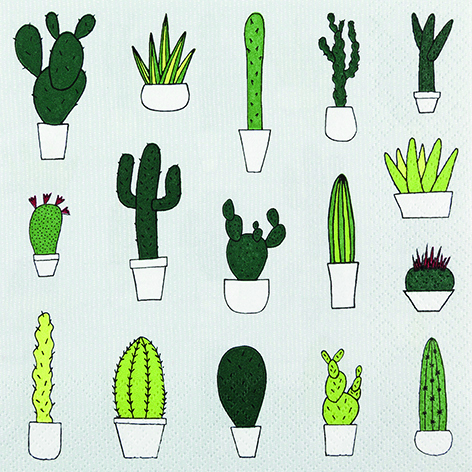 [TPC211828] TOVAGLIOLI CM.33X33 - CONF.20 PEZZI CACTUS