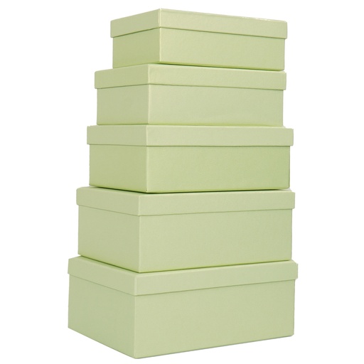 [D100139] Set 5 scatole regalo in cartone fantasia Green