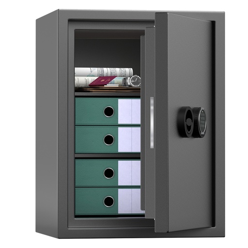 [D101123] Armadio di sicurezza ignifugo 523x475x698mm Linea Easy Home