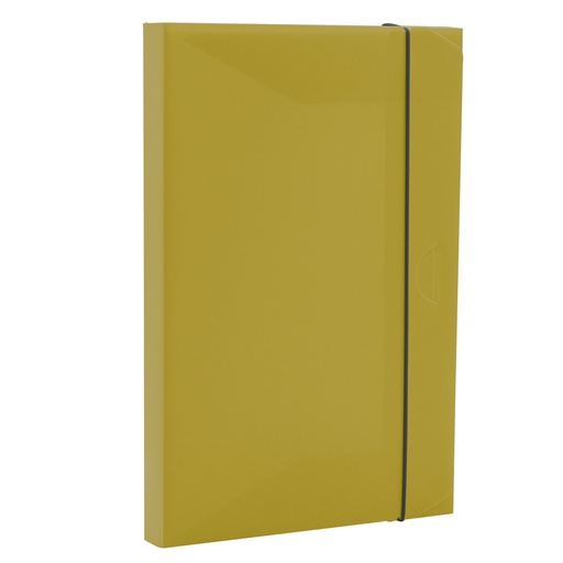 [D103164] Cartella progetto HOLOS dorso 3cm in PP verde 34,5x23,5x3cm Fellowes