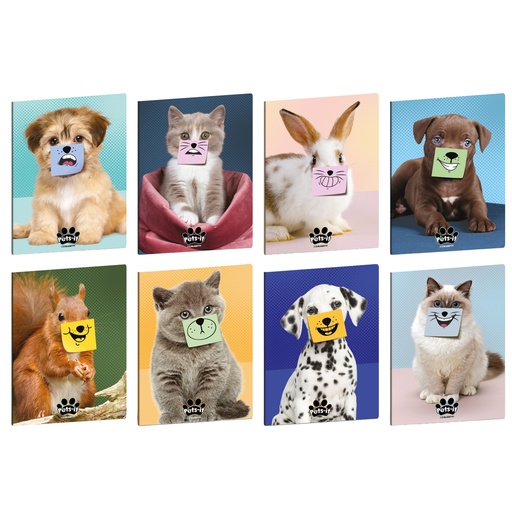 [D103281] Maxiquaderno A4 20fg+1 80gr 4mm c/margine Pets-IT Blasetti