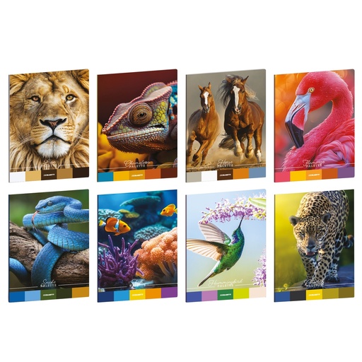 [D103301] Maxiquaderno A4 20fg+1 80gr 4mm c/margine Animal Palette Blasetti