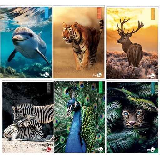 [D82533] Maxiquaderno A4 40fg+2 80gr 10mm Animal BM