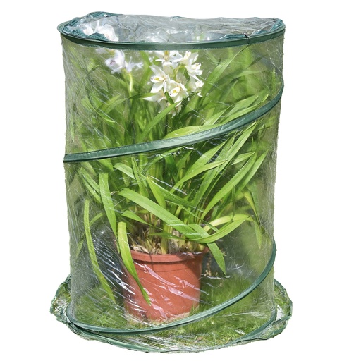 [D99321] Serra Pop-up Anthurium 70x100cm verde/trasparente Verdemax