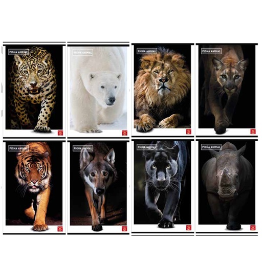 [D99871] Maxiquaderno A4 80gr 40+2fg 4mm c/margine Animal Pigna