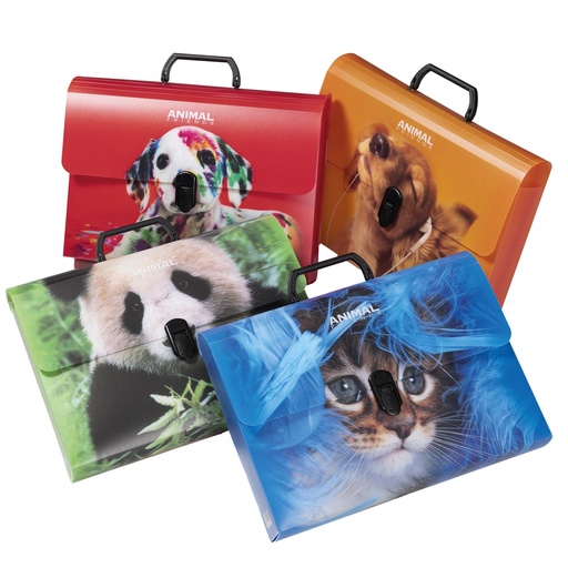 [D99975] Valigetta polipropilene Animal Friends Color 28x38 d. 5cm fantas. ass. Colorosa