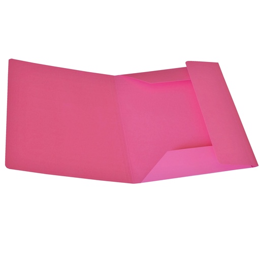 [DSTL6122] Pack 25 Cartelline 3 Lembi CICLAMINO in bristol 200g Starline