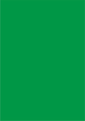 [990250VE] CARTONCINO LISCIO/RUVIDO 70x100 220gr/mq VERDE CHIARO PISTACCHIO (singolo)