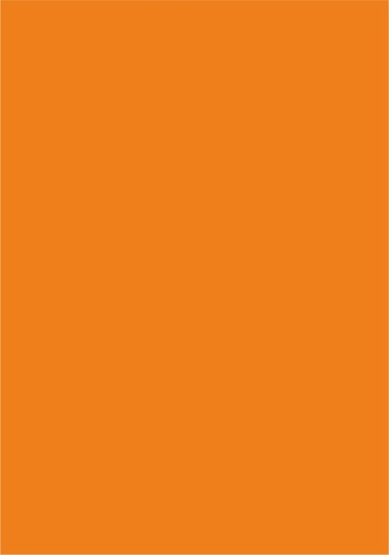 [991210AR] CARTONCINO LISCIO/RUVIDO 50x70 220gr/mq  ARANCIO (singolo)
