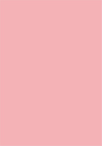 [991210RS] CARTONCINO LISCIO/RUVIDO 50x70 220gr/mq ROSA (singolo)