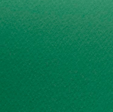 [991210VES] CARTONCINO LISCIO/RUVIDO 50x70 220gr/mq VERDE (singolo)