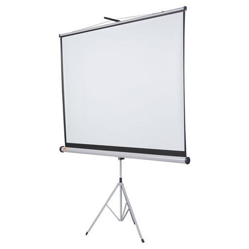 [D50482] SCHERMO A TREPPIEDE 4:3 175X133CM