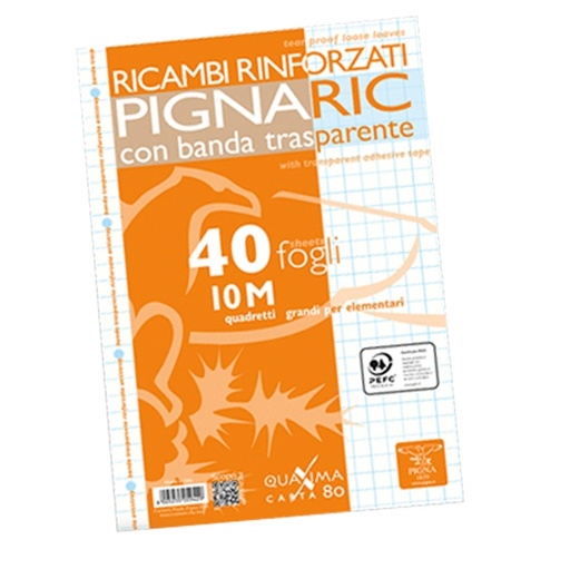 [D54881] RICAMBI FORATI RINFORZATI A4 10MM 40FG 80GR PIGNARIC