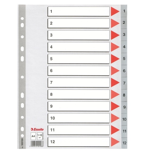 [D59037] Separatore in PPL grigio numerico 1-12 A4 22,5x29,7cm ESSELTE