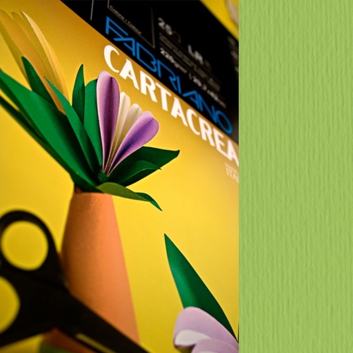 [D59690] Blister 10fg cartoncino 35x50cm 220gr verde pisello Cartacrea Fabriano