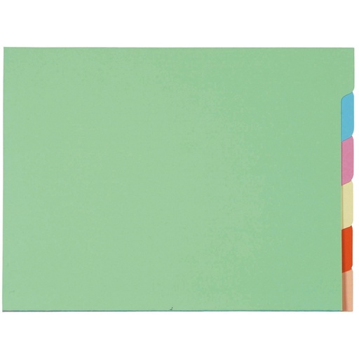 [D61599] SET 6 CARTELLINE C/TACCA PER CARTELLE SOSP. ARMADIO NATURE FUTURE