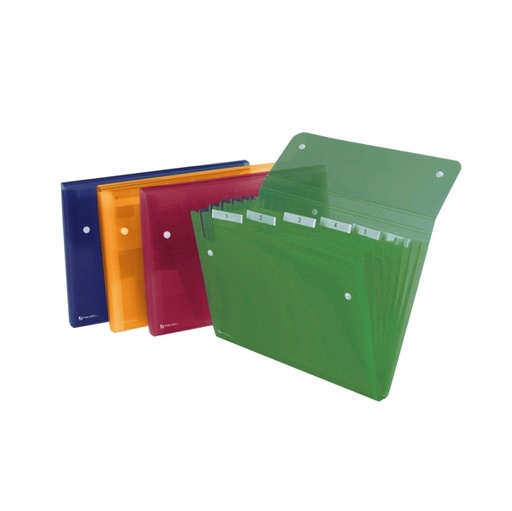 [D62057] CARTELLA A 6 TASCHE 22X30CM ASSORT. ICE REXEL